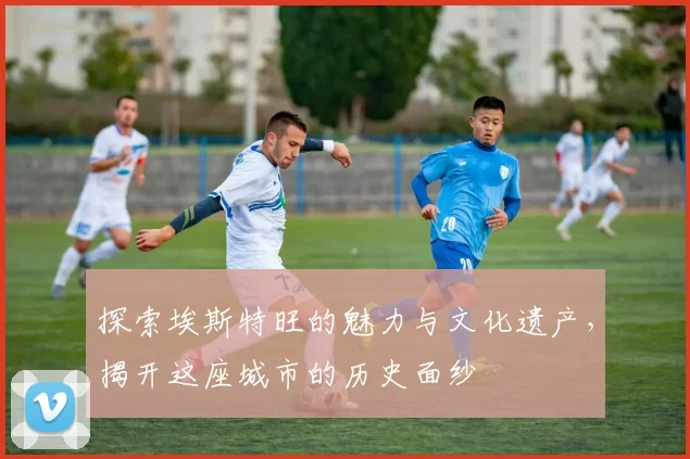 探索埃斯特旺的魅力与文化遗产，揭开这座城市的历史面纱